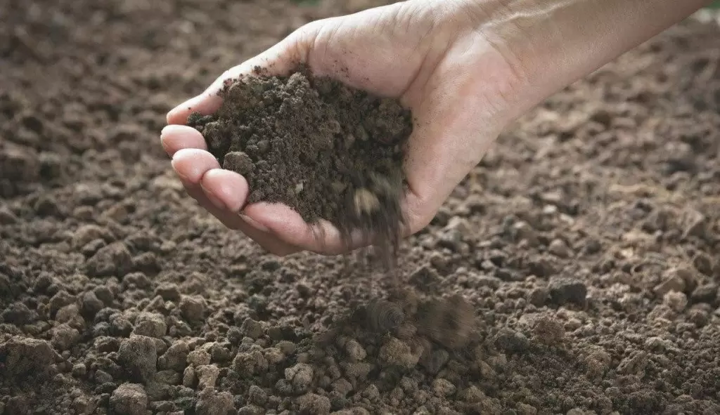 Техника для обработки почвы