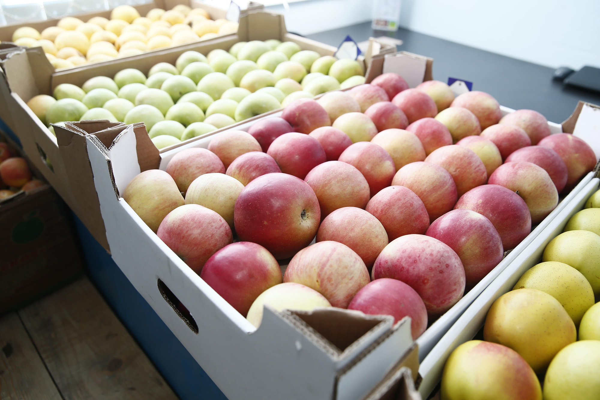 Хранение плодов яблони